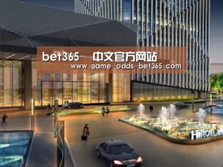 案例展示二