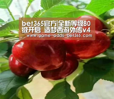 bet365官方